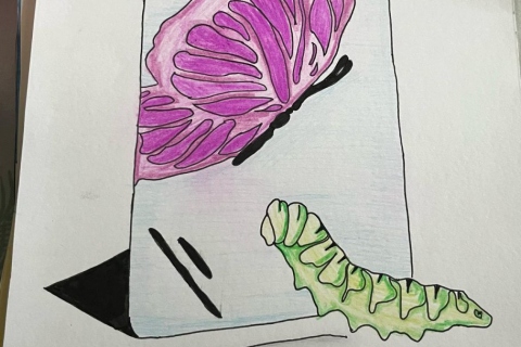 53-